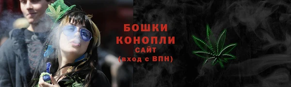 метадон Новозыбков
